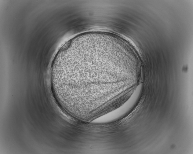 X0000097871371200804110913
