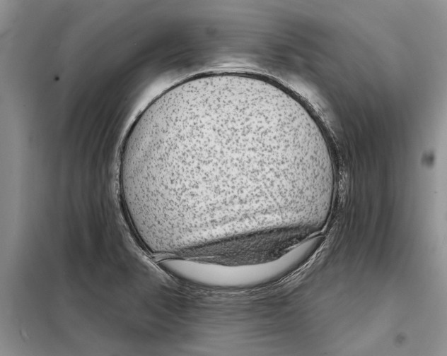 X0000097871374200804110913