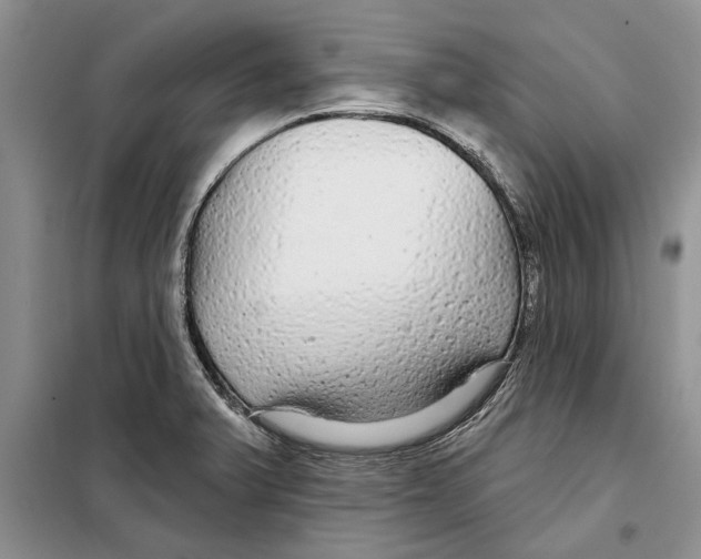 X0000097871375200804110913