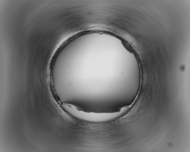 X0000097871376200804110913