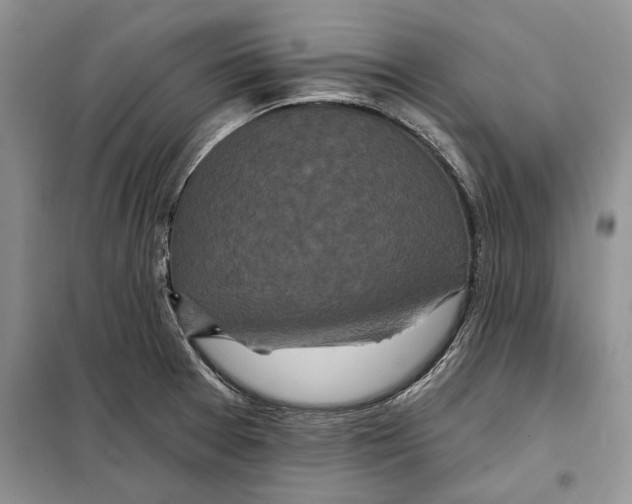 X0000097871377200804110913