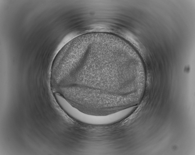 X0000097871378200804110913