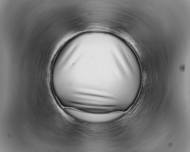 X0000097871379200804110913