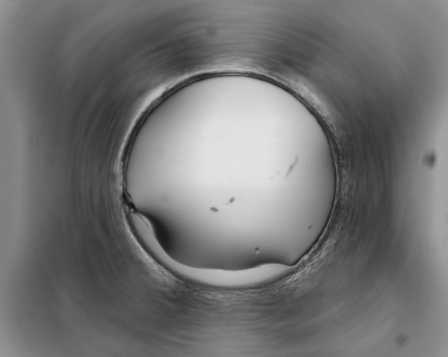 X0000097871380200804110913