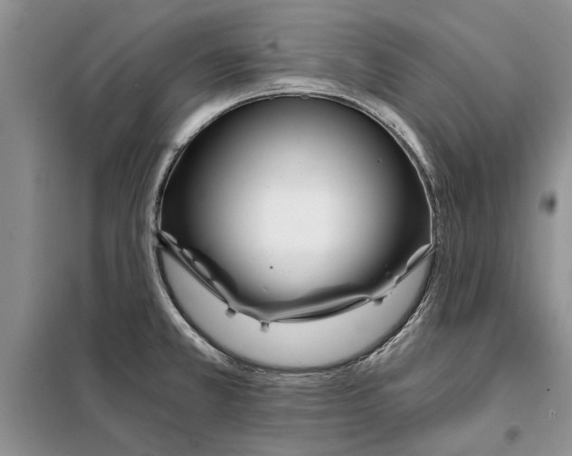 X0000097871381200804110913