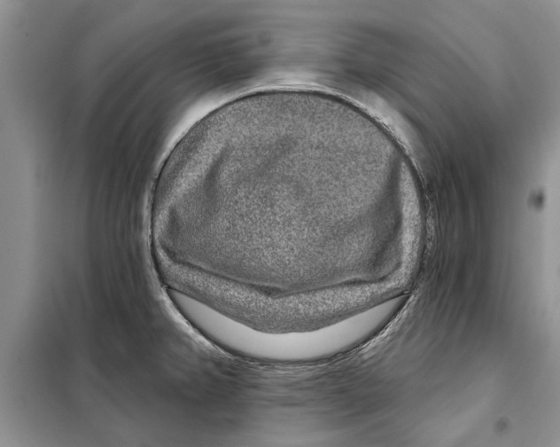 X0000097871382200804110913