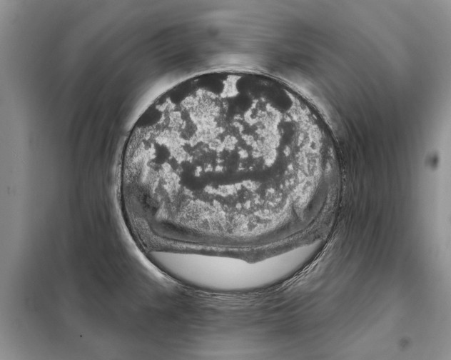 X0000097871383200804110913