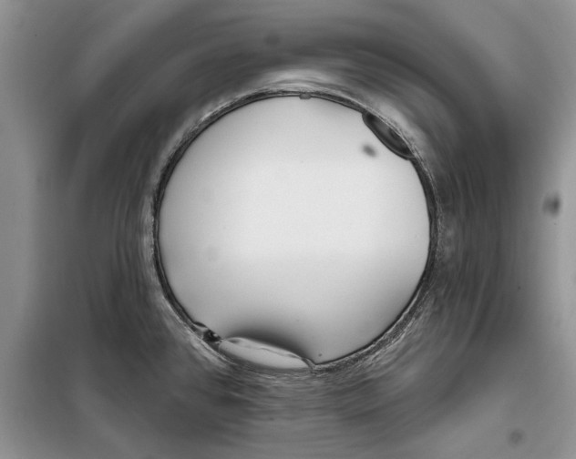 X0000097871384200804110913