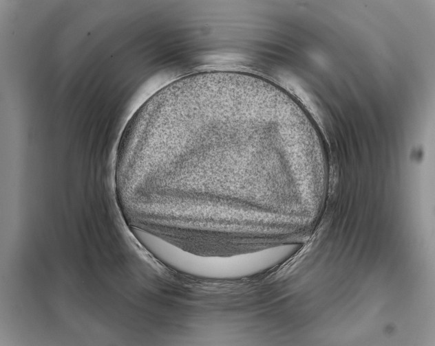 X0000097871386200804110913