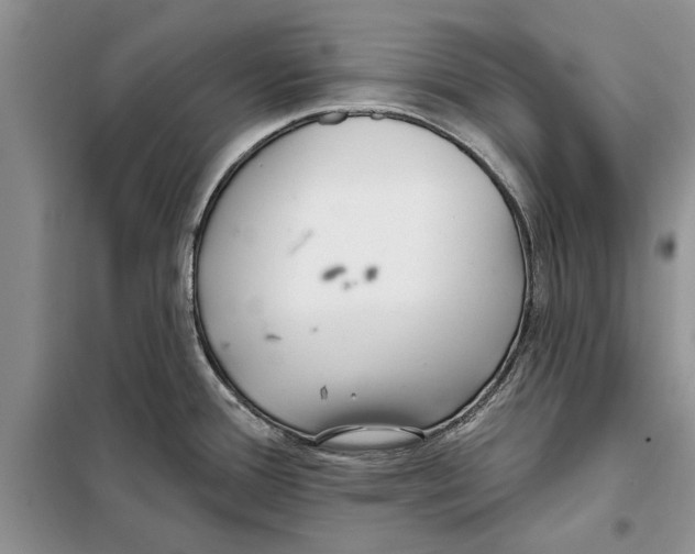 X0000097871388200804110912