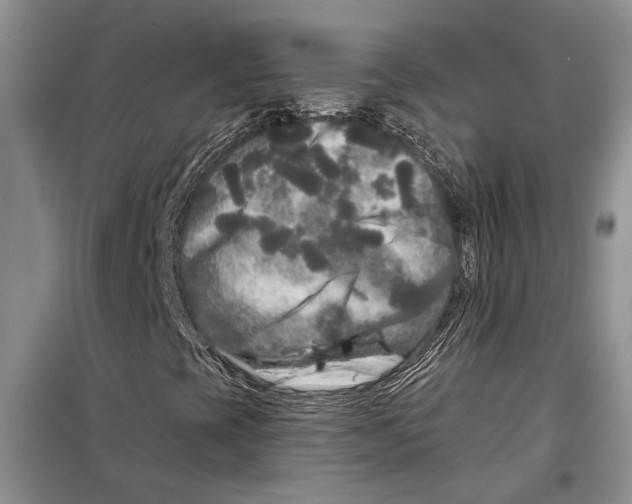 X0000097871393200804110911