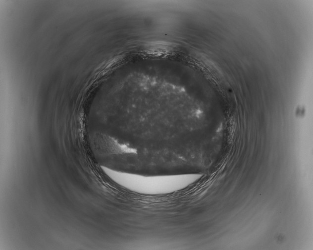 X0000097871394200804110911