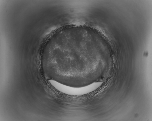 X0000097871398200804110912