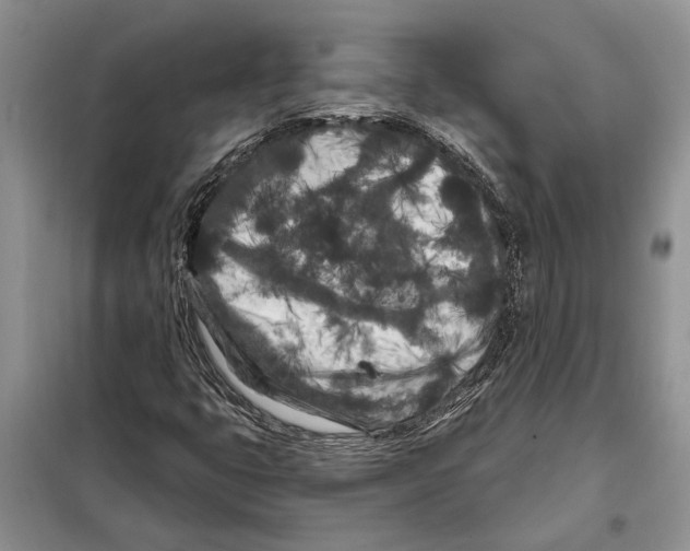 X0000097871399200804110912