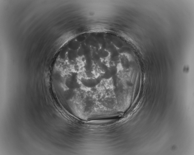 X0000097871401200804110912