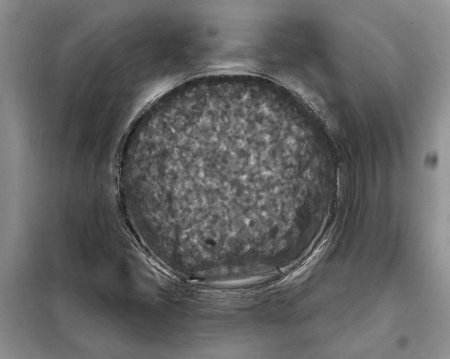 X0000097871405200804110912