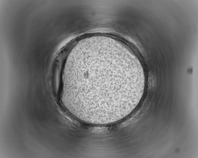 X0000097871406200804110912