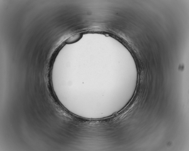 X0000097871410200804110912