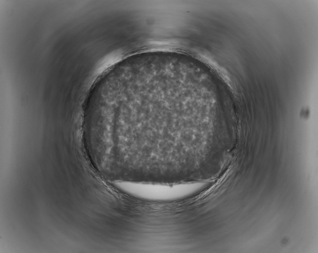 X0000097871411200804110912