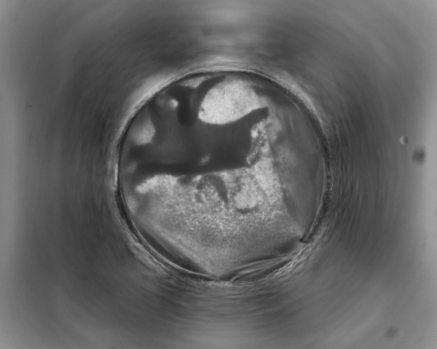 X0000097871413200804110912