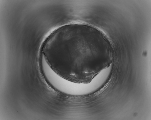 X0000097871414200804110912