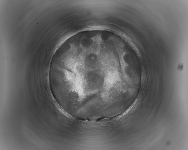 X0000097871417200804110912