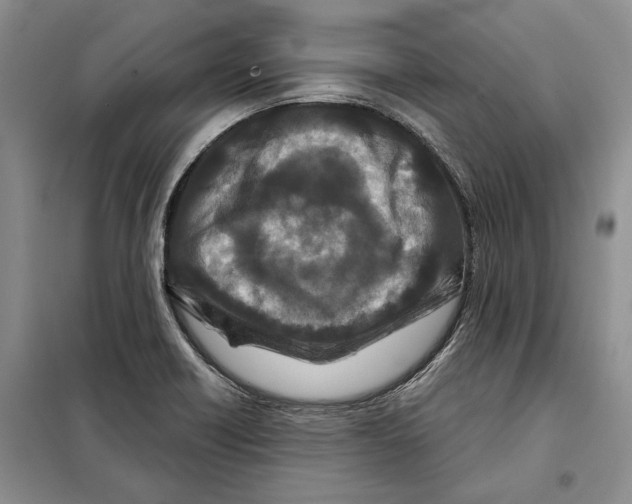X0000097871418200804110912