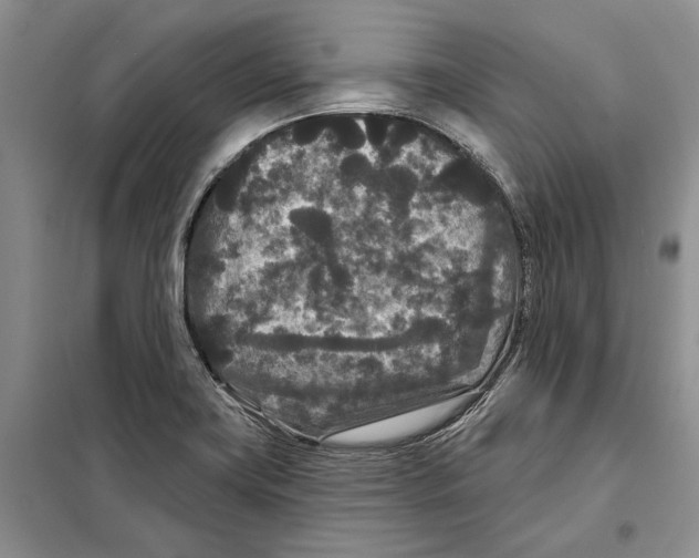 X0000097871419200804110912