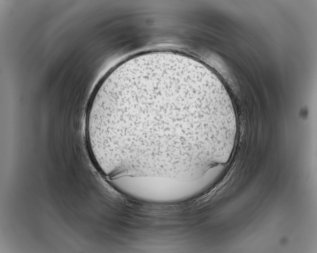 X0000097871420200804110912