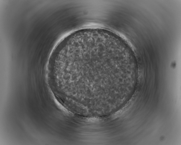 X0000097871421200804110912