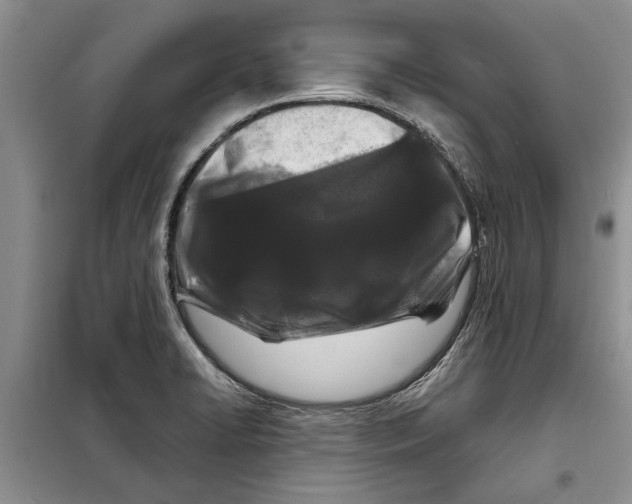 X0000097871422200804110912