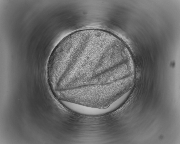 X0000097871423200804110912