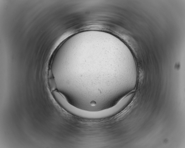 X0000097871426200804110912