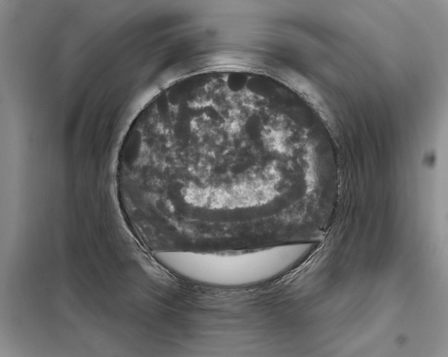 X0000097871427200804110912