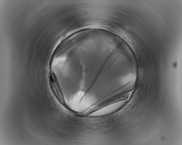 X0000097871428200804110912