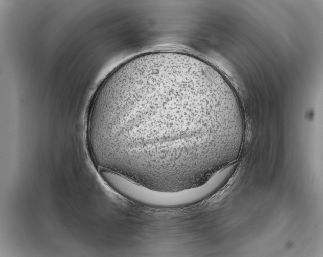 X0000097871430200804110912