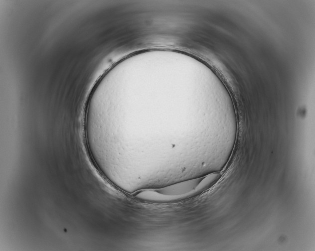 X0000097871432200804110912