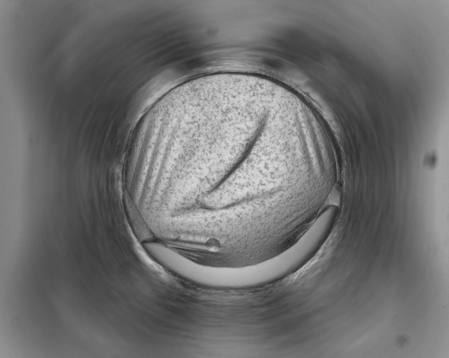 X0000097871433200804110912