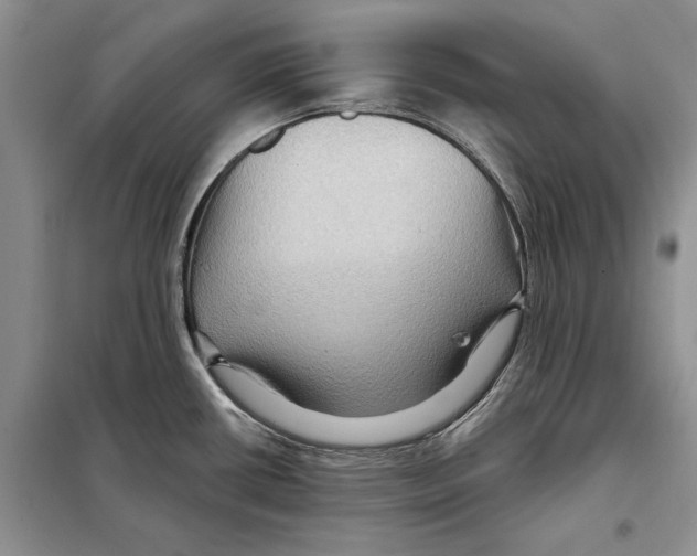X0000097871434200804110912