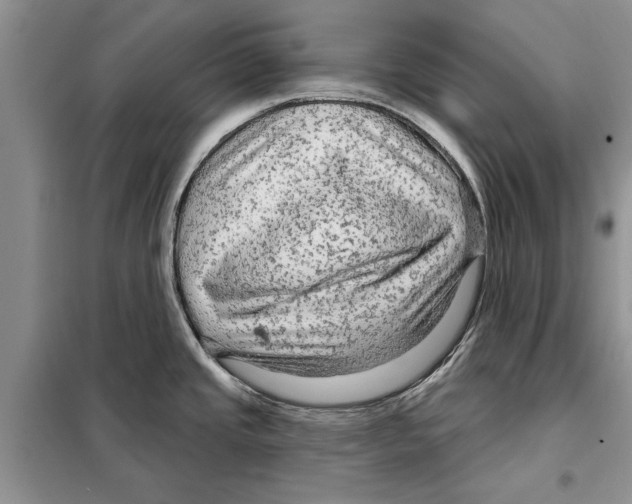 X0000097871437200804110912
