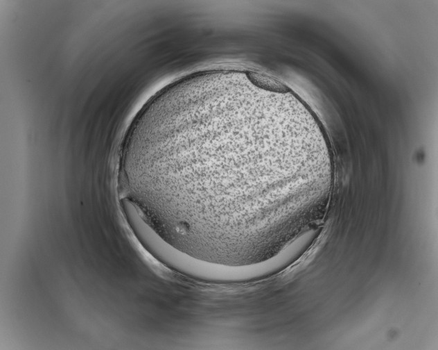 X0000097871438200804110912