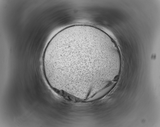 X0000097871440200804110912