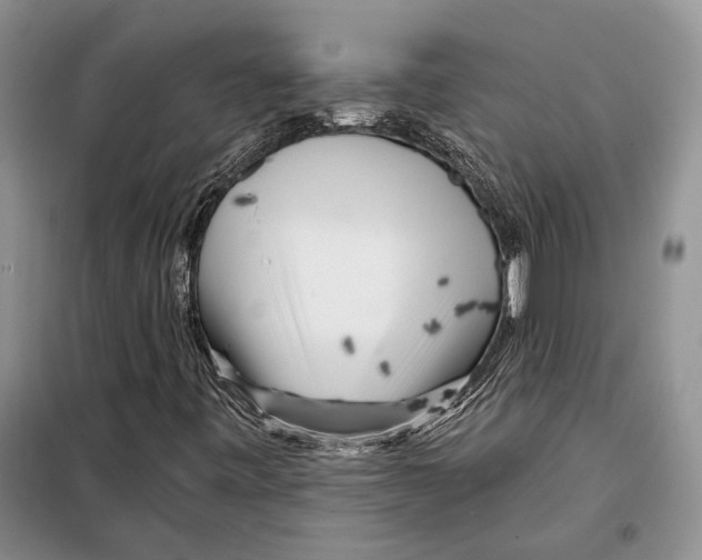 X0000097871443200804110911