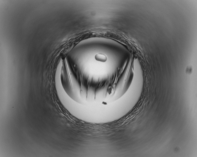 X0000097871445200804110911