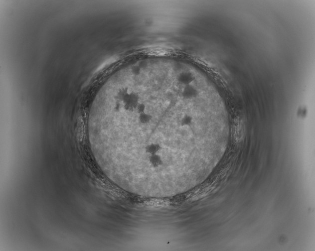 X0000097871446200804110911