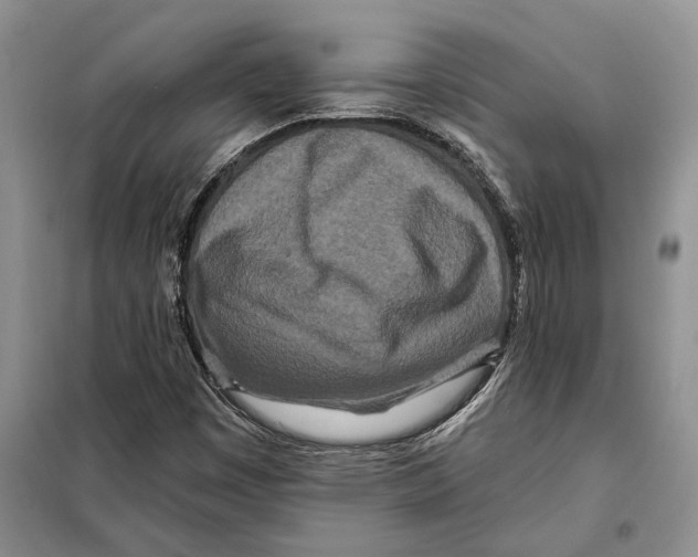 X0000097871449200804110911