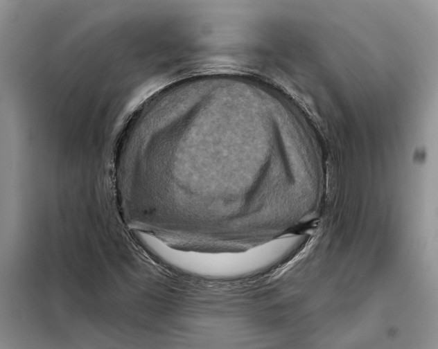 X0000097871453200804110911