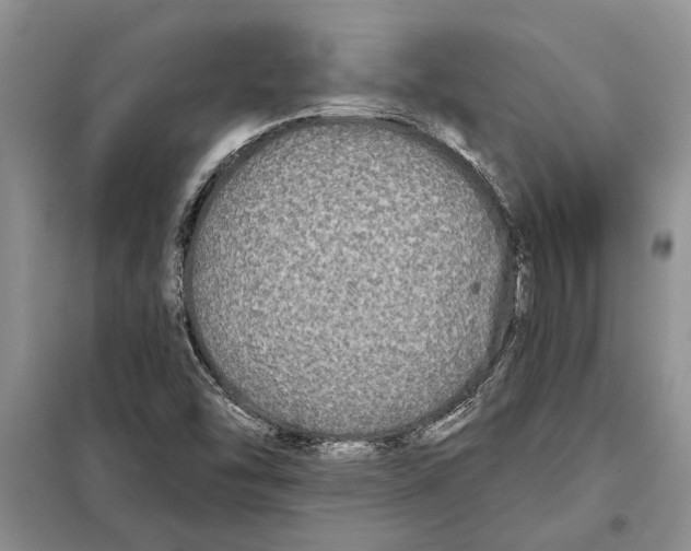 X0000097871454200804110911