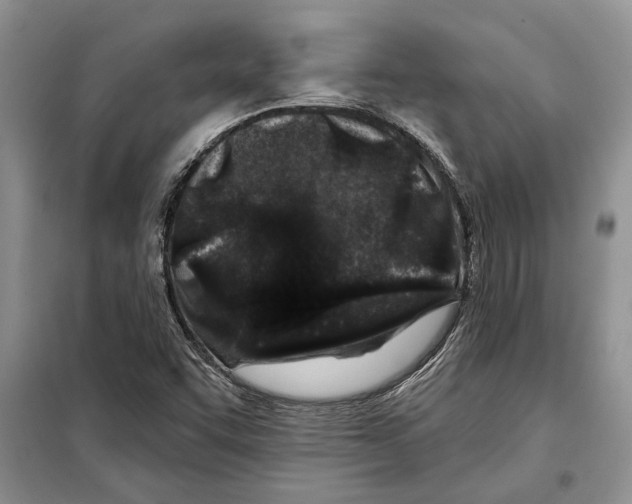 X0000097871455200804110911