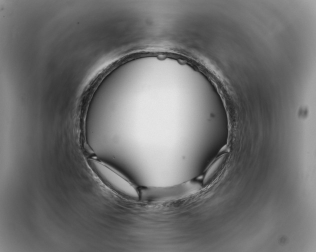 X0000097871456200804110911
